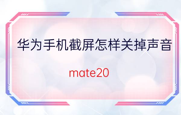 华为手机截屏怎样关掉声音 mate20 x截图怎么关掉